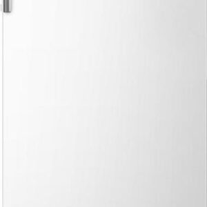 Gorenje FN617EEW5 172cm No Frost